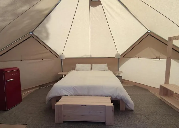 El Glamp De Vall D Or * 普拉加德阿罗